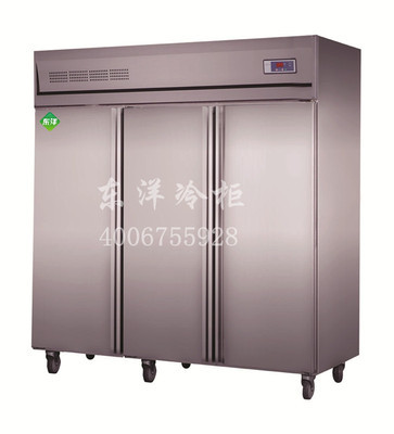 廣東廚房柜廠家-酒店雪柜-【效果圖,產(chǎn)品圖,型號(hào)圖,工程圖】-中國(guó)